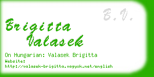 brigitta valasek business card